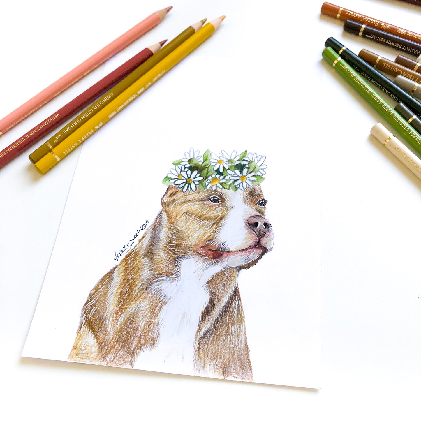 Mini-Tierportrait